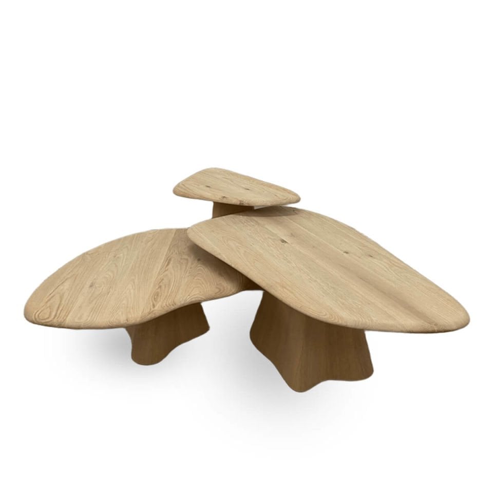 Ahşap Orta Sehpa Seti - LAGOON Serisi Raw