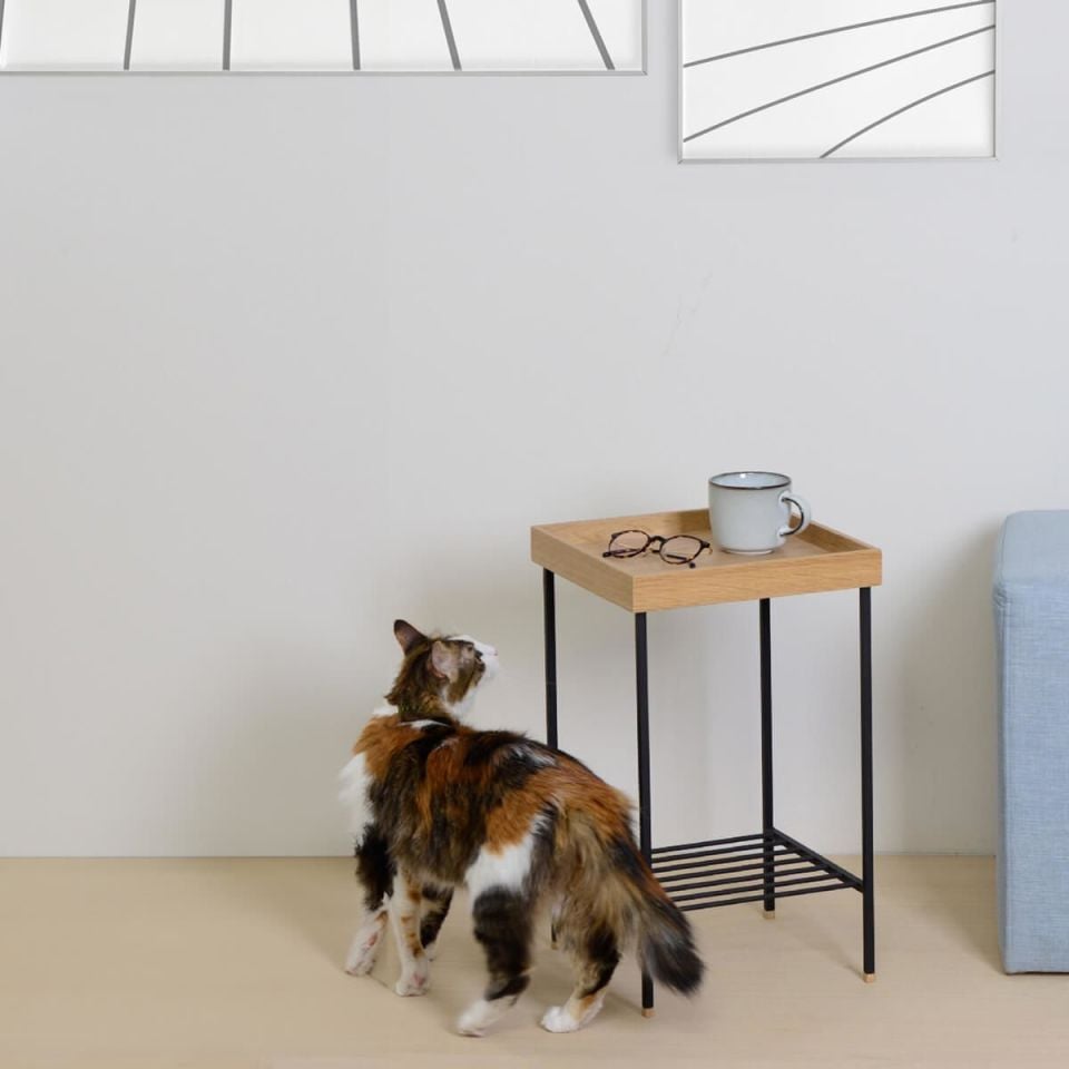 Masif Meşe Orta Boy Yan Sehpa / Saksılık – EDGE Serisi, Metal Ayaklı Raw - SİYAH